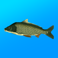 True Fishing MOD APK (Unlimited Money) v1.16.4.820
