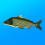 True Fishing MOD APK (Unlimited Money) v1.16.4.820